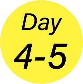 Day4-5