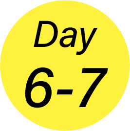 Day6-7